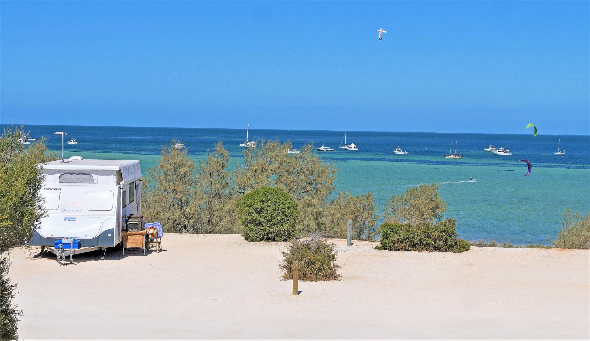 Denham Seaside Caravan Park, Denham / Shark Bay, WA Top